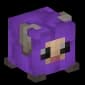 Baby Sheep (purple)