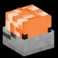 Clownfish in a Bucket